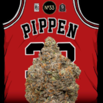 Scottie Pippen