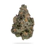 Black Cherry Gushers