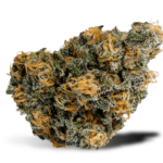 Blue Dream strain