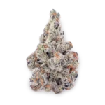 White Widow strain