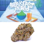 Breakfast in Bed
