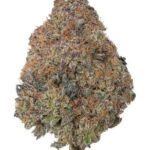 Cherry Gelato Marijuana Strain