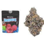 Bompton Berries