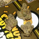 Peanut Butter Gelato #4 by Backpack Boyz