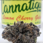 Cannatique